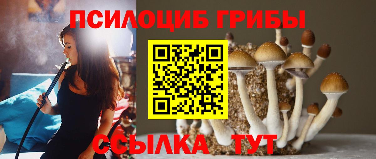 Серпухов  Галлюциногенные грибы мухоморы  Галлюциногенные грибы Cubensis  Вход с VPN 