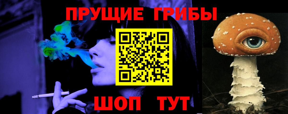 Галлюциногенные грибы Psilocybine cubensis Серпухов